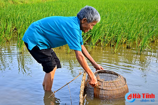 photo thu vui dat do buong cau o cac vung nong thon ha tinh