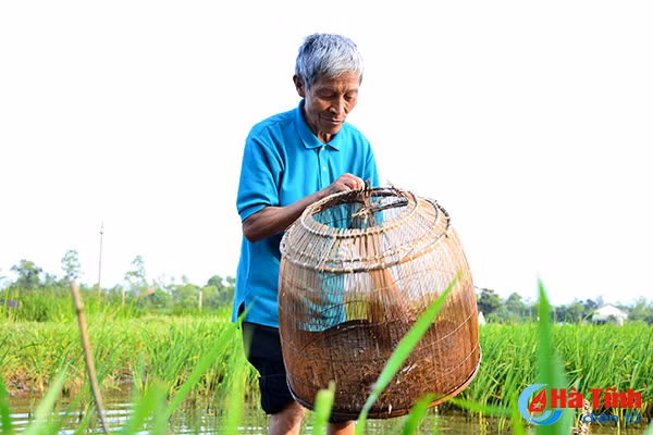 photo thu vui dat do buong cau o cac vung nong thon ha tinh