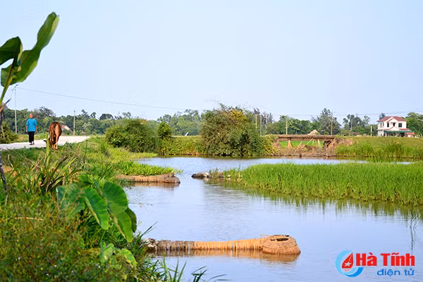 photo thu vui dat do buong cau o cac vung nong thon ha tinh