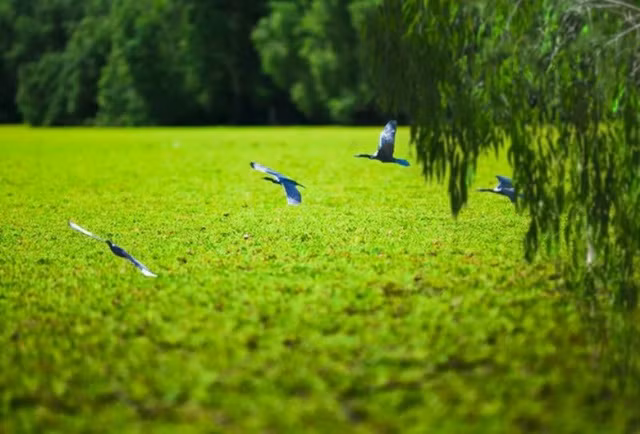 kham pha an giang mua nuoc noi
