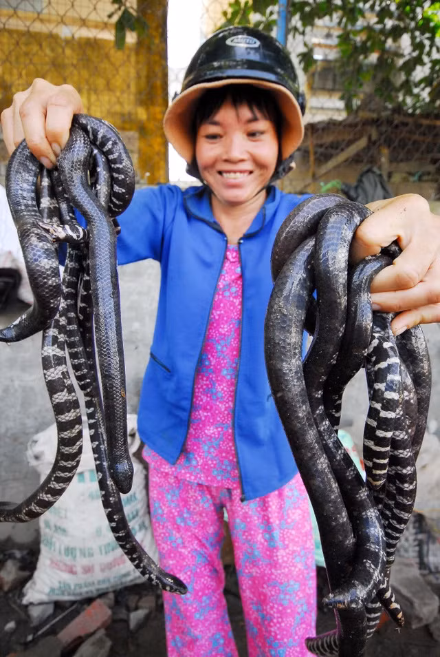 nhung khu cho ky di doc dao chi co o viet nam
