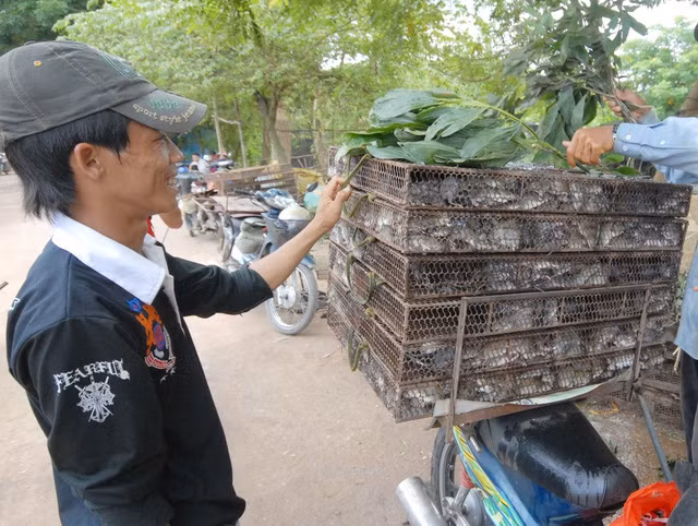nhung khu cho ky di doc dao chi co o viet nam