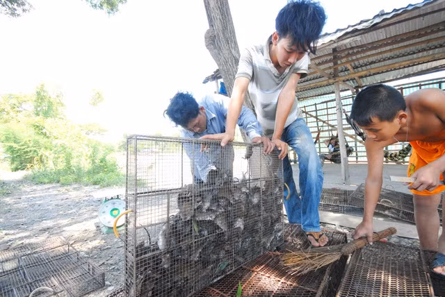 nhung khu cho ky di doc dao chi co o viet nam