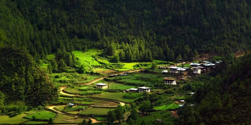 8. Bhutan là đất nước duy nhất trên thế giới có chỉ số carbon âm: Luật pháp Bhutan quy định 60% diện tích đất nước bắt buộc luôn được bao phủ bởi rừng cây. Điều đó có nghĩa là Bhutan hấp thụ nhiều carbon hơn lượng carbon thải ra không khí, không làm hại đến môi trường. Ảnh: BBC. 10 dieu ly thu o quoc gia hanh phuc nhat the gioi