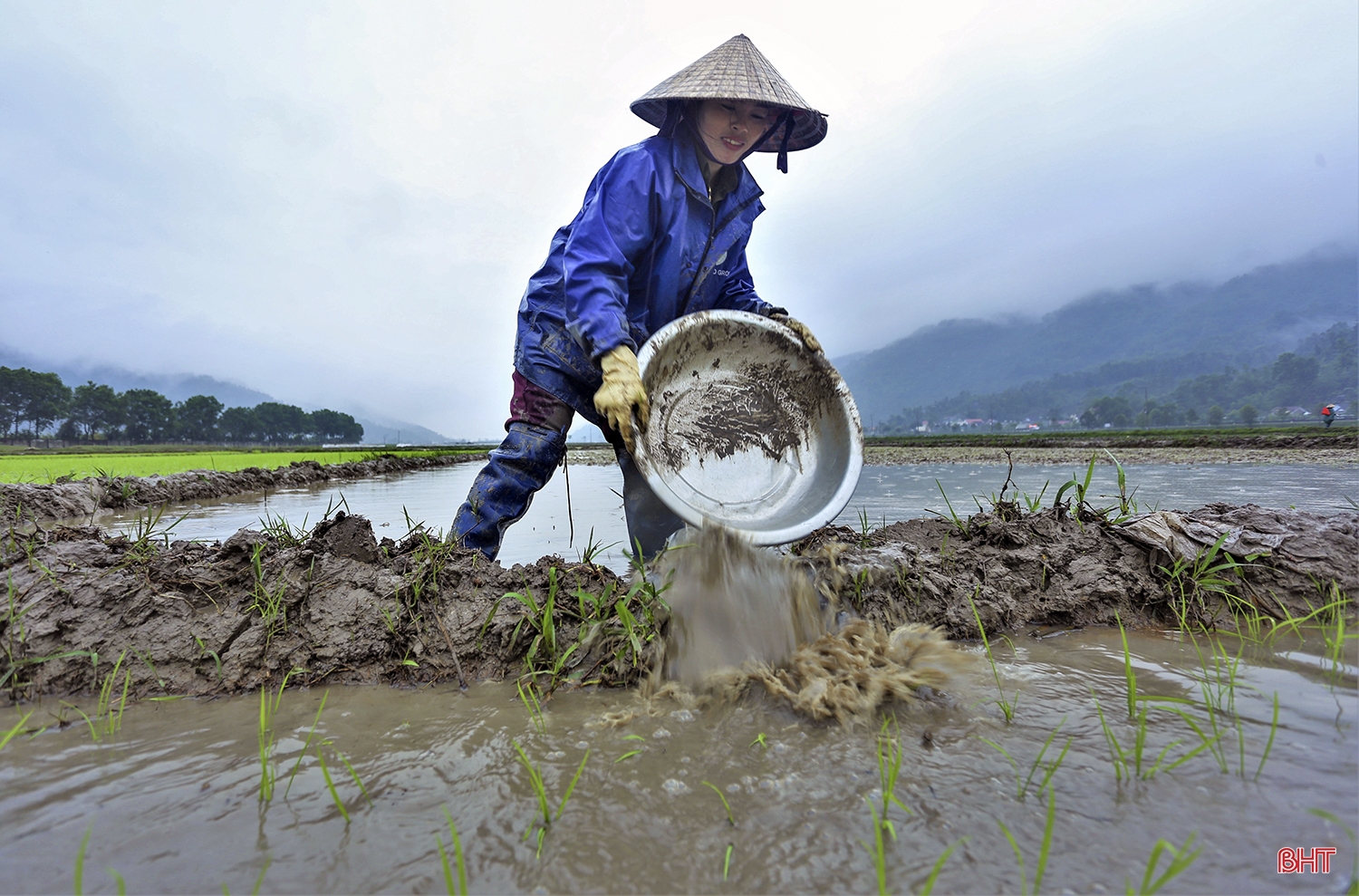 Nông dân Hà Tĩnh: Rộn ràng đồng ruộng vào vụ xuân