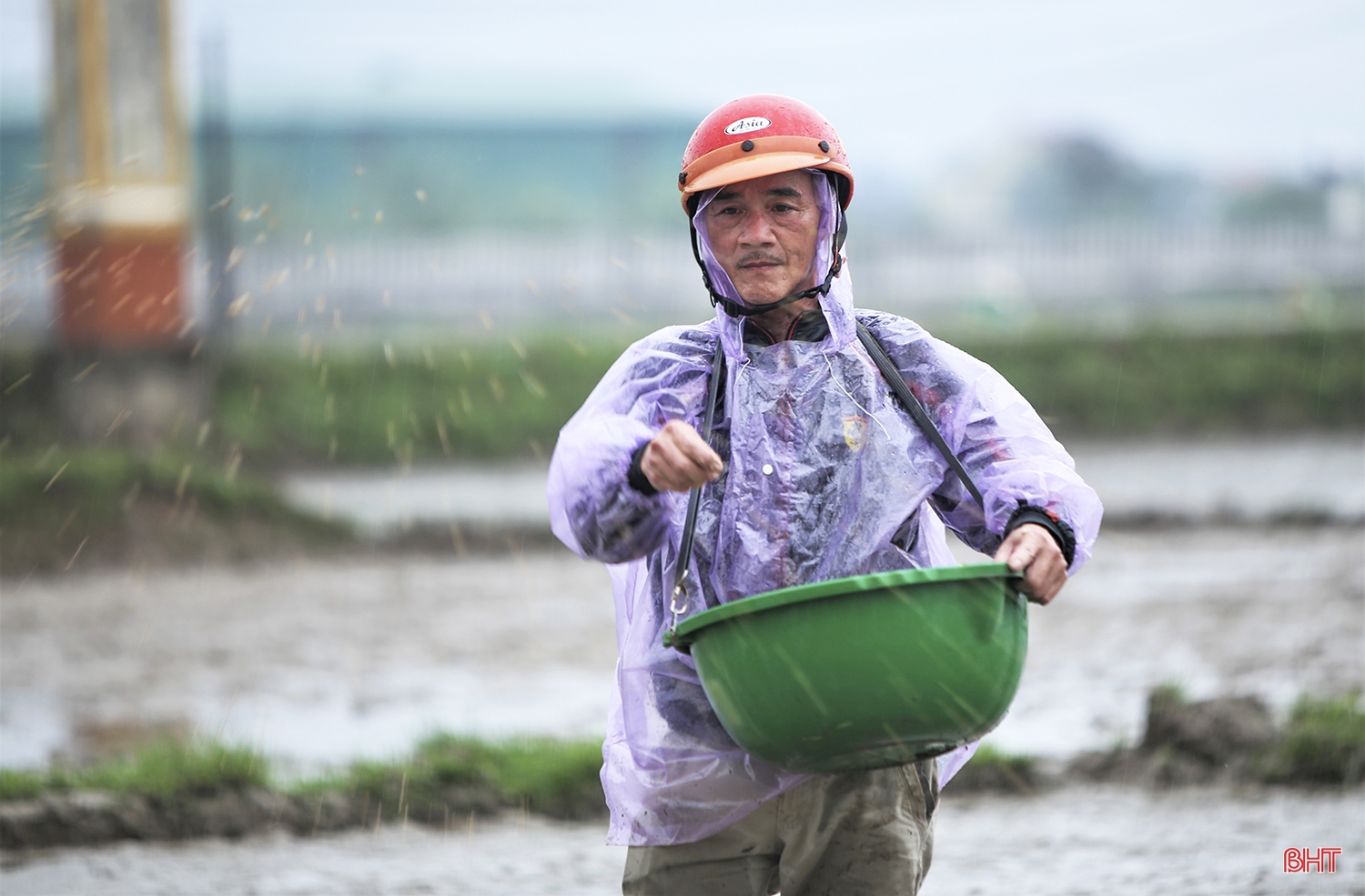 Nông dân Hà Tĩnh: Rộn ràng đồng ruộng vào vụ xuân
