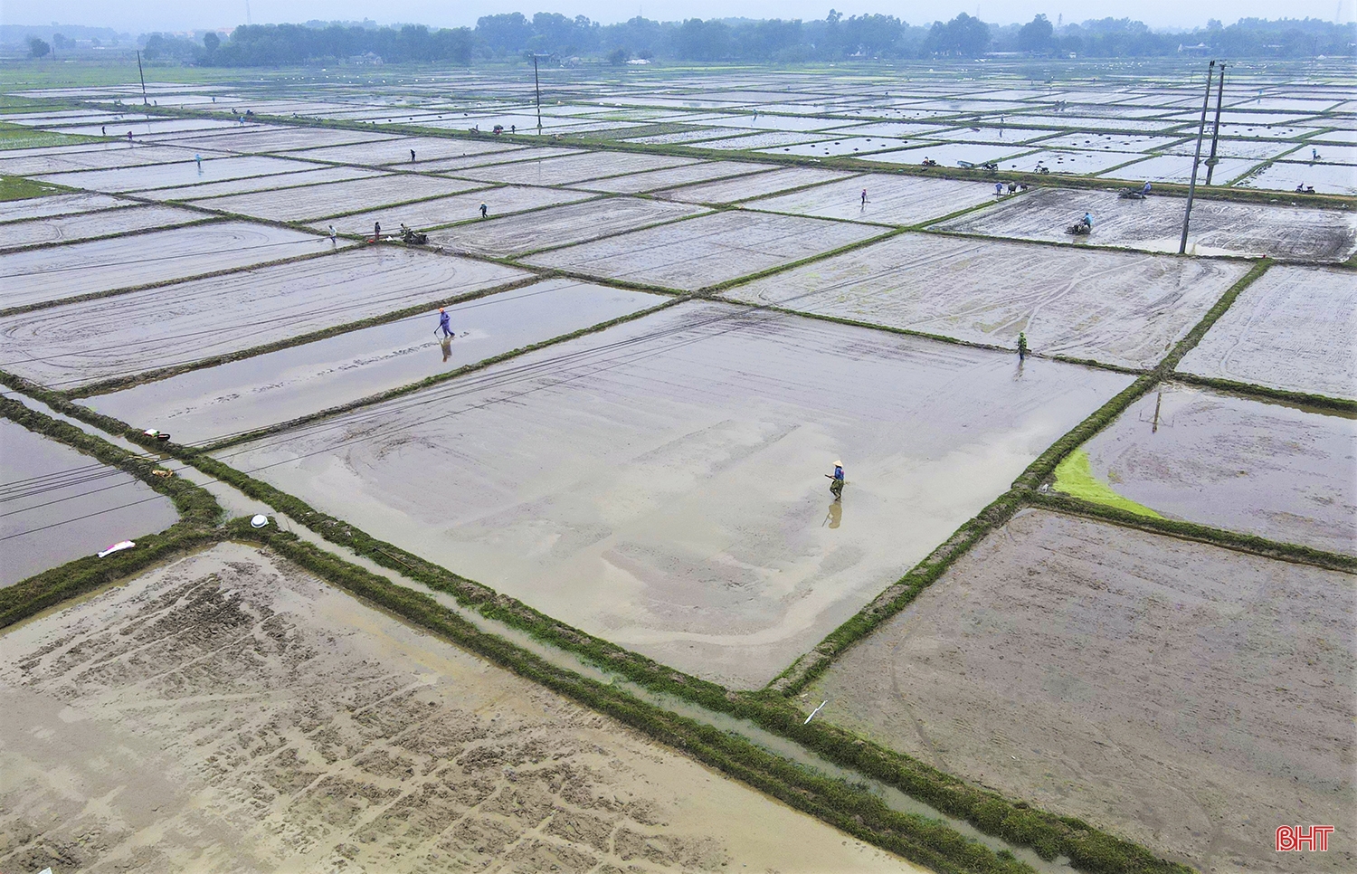Nông dân Hà Tĩnh: Rộn ràng đồng ruộng vào vụ xuân