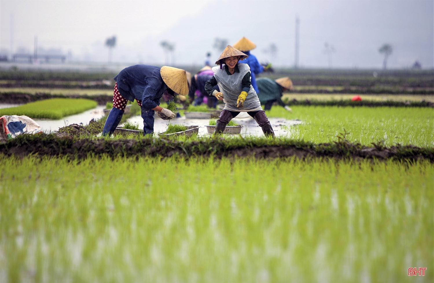 Nông dân Hà Tĩnh: Rộn ràng đồng ruộng vào vụ xuân