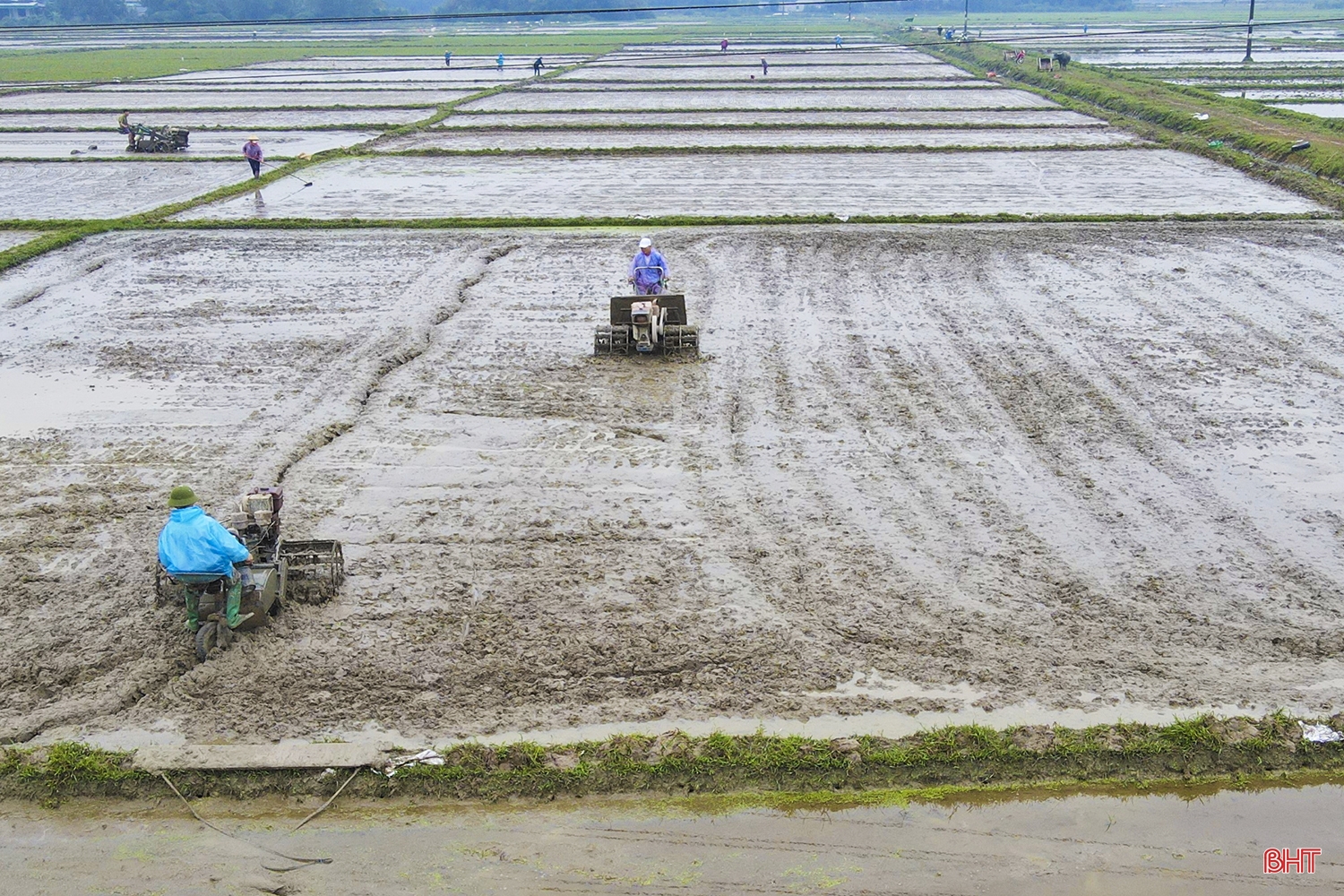 Nông dân Hà Tĩnh: Rộn ràng đồng ruộng vào vụ xuân