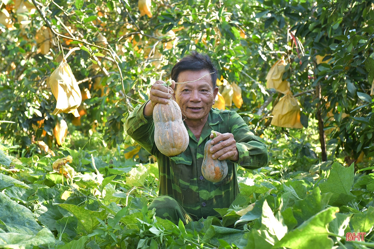 Ban Thường vụ Tỉnh ủy ban hành Chỉ thị về lãnh đạo đại hội hội nông dân các cấp