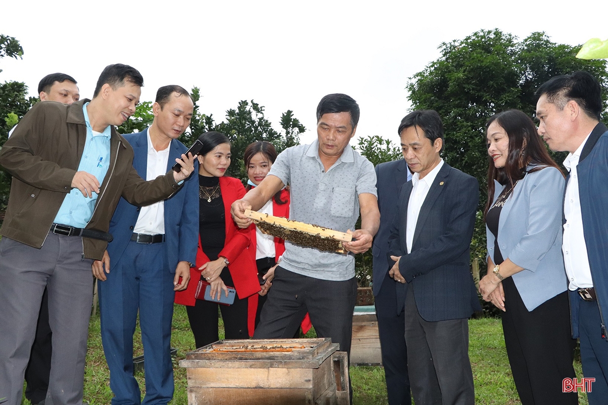 Ban Thường vụ Tỉnh ủy ban hành Chỉ thị về lãnh đạo đại hội hội nông dân các cấp