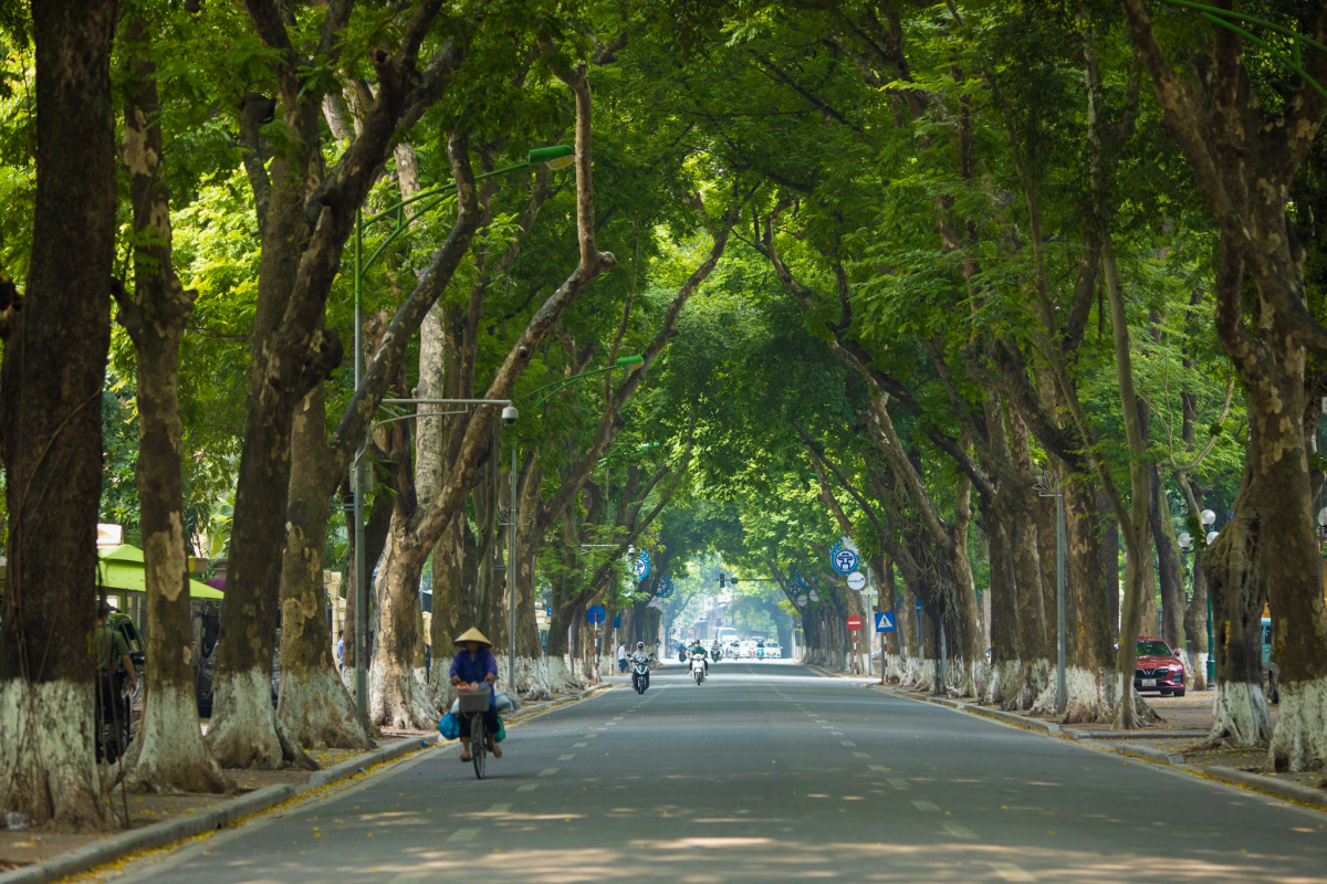 Mùa thu Hà Nội